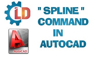 Introduction Of Spline Command In AutoCAD Software.#autocad2021
