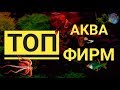 ТОП Аква Фирм