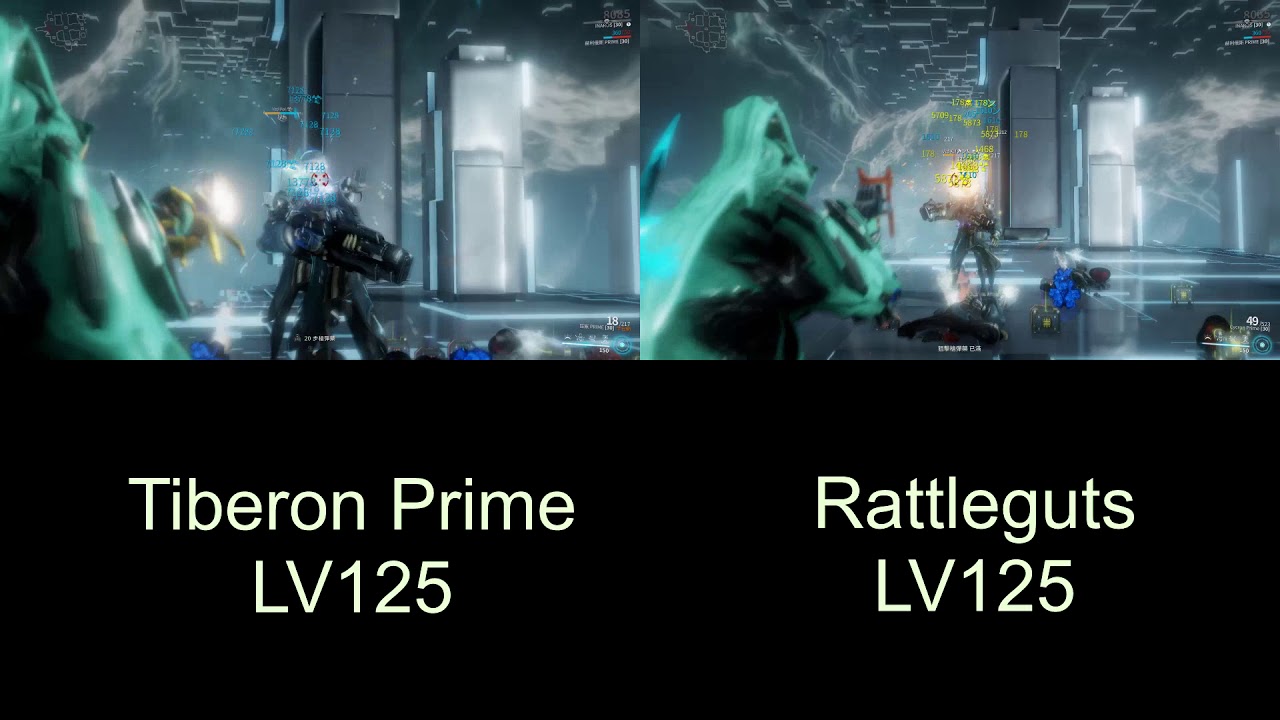 [Warframe]Rattleguts? Catchmoon? Tiberon Prime? Arca Plasmor? - YouTube