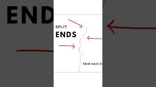 Famous Split Ends #naturalhairgrowth #curlyhair #hair #hairloss Wealth