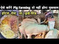 ऐसे करेंगे Pig Farming तो नहीं होगा नुकसान | Pig Feed Management | Pig Farming