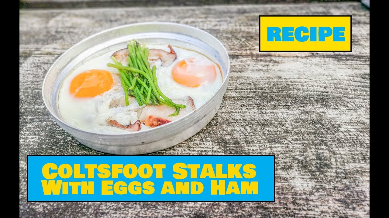 How to Make Coltsfoot Stalks With Eggs and Ham – Easy Outdoors Cooking