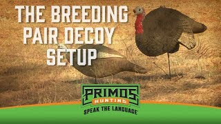 The Breeding Pair Decoy Setup