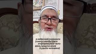 Человек забывает о горе