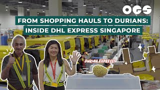 From Shopping Hauls to Durians: Inside DHL Express Singapore