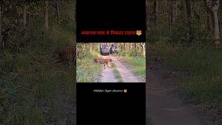 Pilibhit Tiger Reserve 🐯 Book Your Jungle Safari Trip ☎️ 96 39 62 00 91 ✉️