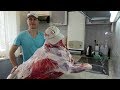 Как разделать баранину. Баранина без запаха. Как выбрать баранину без запаха.