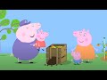 Świnka Peppa | KOMPOST | Bajki Po Polsku | Peppa po Polsku