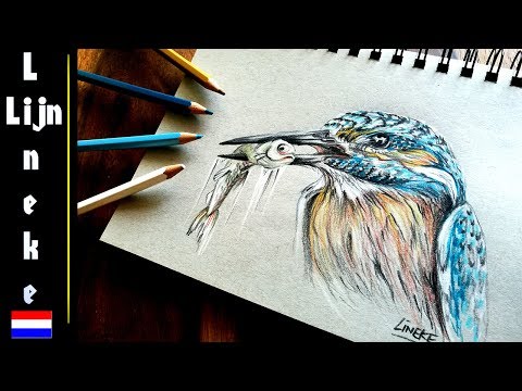 Fonkelnieuw IJSVOGEL tekenen kleur potlood tekening - YouTube KZ-93