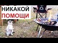 Лютые приколы. Котэ жарит сосиски