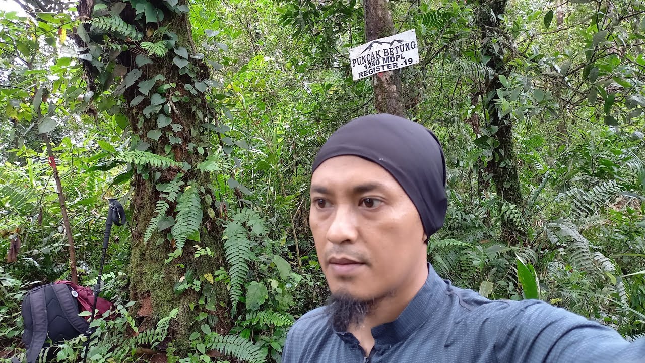 GUNUNG BETUNG || Solo Hiking / Trekking (Tek-Tok) Review jalur supaya gak kesasar