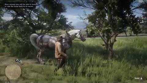 When you press the wrong button to tame a horse