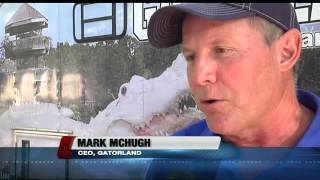 Gators in SWFL move to Orlando