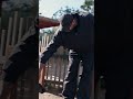 Boogie has cleared his fear of Kangaroos, what can we throw at him next?