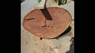 LU 75 Finding Lumber at Auction with Tommaso Valeriano