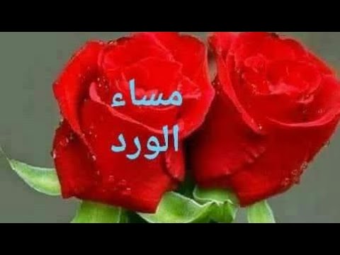 እነተ ጉድ ስሙ አይ ሰው ክፈቱ