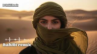 🔥 Arabic Remix Playlist 2025 | Middle Eastern Vibes