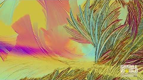 Crystals of Lactic and Salicylic Acid Forming | 2017 Nikon Small World