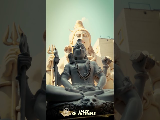 Experience the Divinity of Shivoham Shiva Temple At Your Home