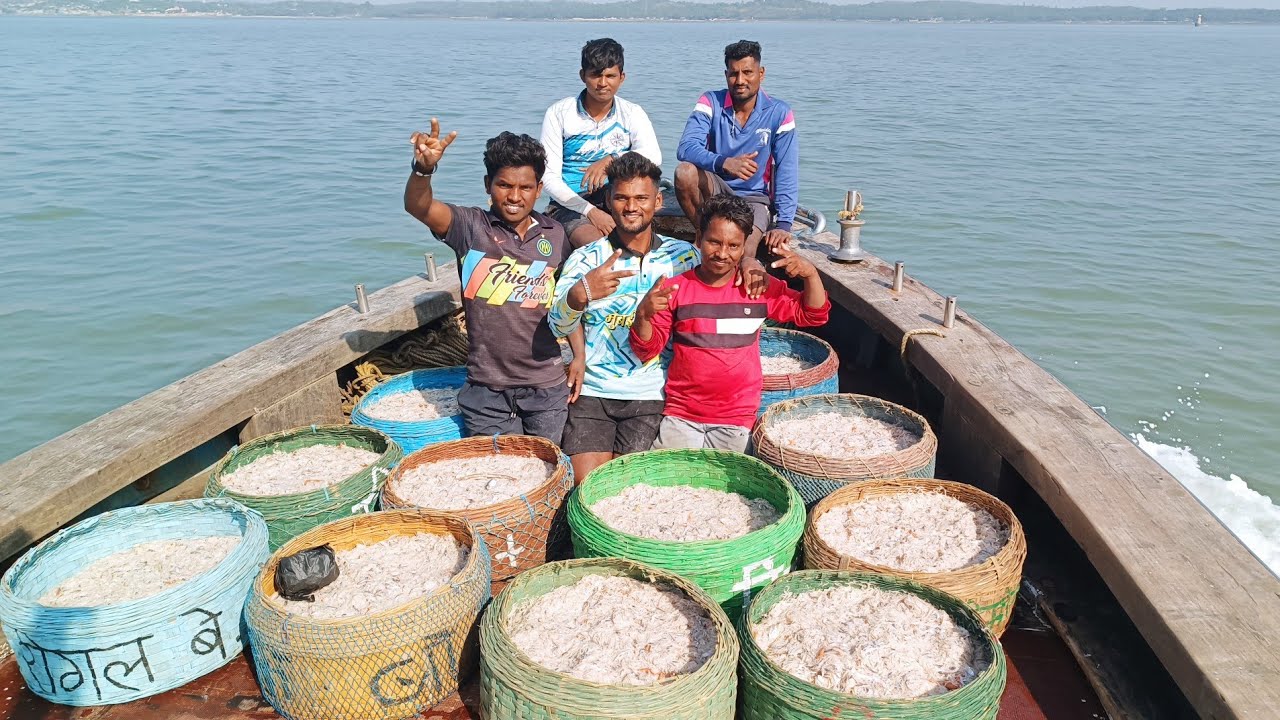 जवळा मासेमारीचा पहिला दिवस. खोल समुद्रात केली जवळा मासेमारी. mumbai India fishing