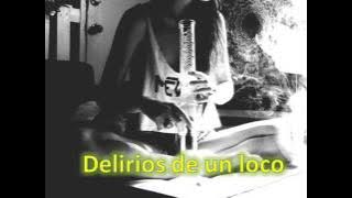Sektor 13 - delirios de un loco