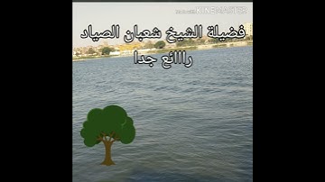 اروع تلاوات القارئ شعبان الصياد
