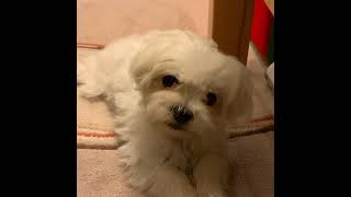 Livestream Von Lea & Mimi Produktion