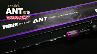 ANT 