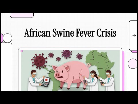 Video PCR in Practice | African Swine Fever Crisis