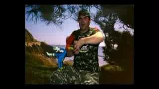 Star Chics - Comercial Do Picapau Bicando