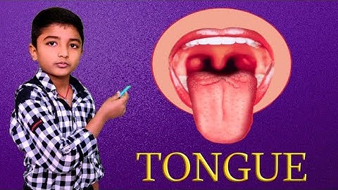 How your tongue works | structure of the tongue| About human tongue