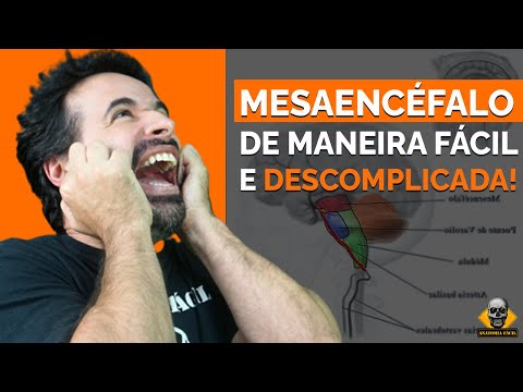 Vídeo: Qual estrutura faz parte do mesencéfalo?