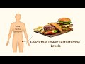 10 Foods that Kill Testosterone Levels in males you must Avoid !!