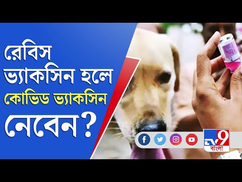 ভিডিও: ফ্লু ভ্যাকসিন কুকুরের জন্য কীভাবে কাজ করে