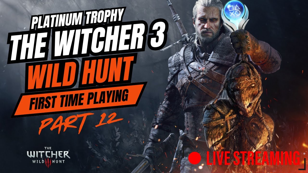 witcher 3 platinum trophy time