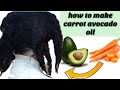 How to make carrot and avocado oil for hair growth + 2 ways to make your DIY avocado carrot oil