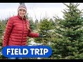 Let S Find The Perfect Christmas Tree Caitie S Classroom Field Trip Tree Farm Video For Kids 
