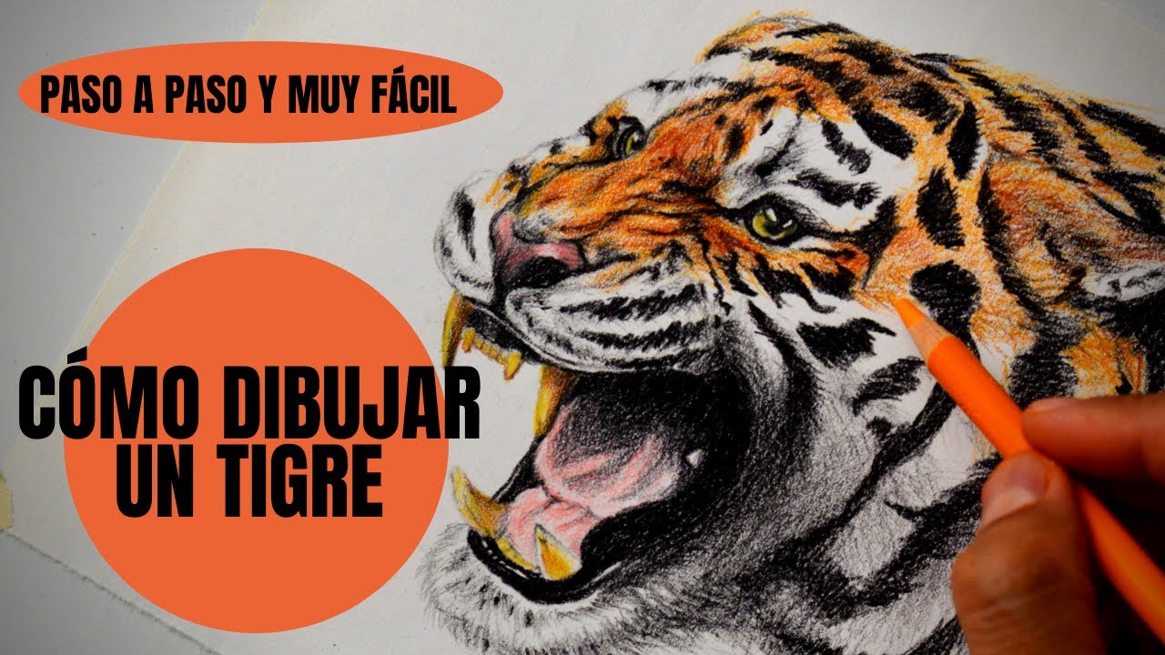 Cómo Dibujar Un Tigre realista Paso a Paso