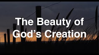 The Beauty of God’s Creation