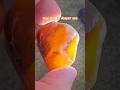 Dark Red Carnelian on an Oregon Beach! #fypシ #fyp #agate #rockhounding #pnw