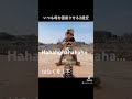 【いつも母を困惑させる2歳児】