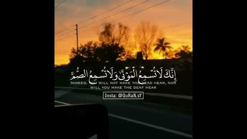 قرآن كريم بصوت اسلام صبحي ارح سمعك ❤ حالات واتس اب دينية 🌹 ستوريات انستغرام