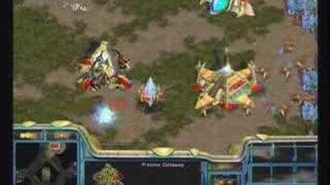 Stork Vs Mujuk Pt1/3 On Python