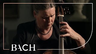 Bach - Prelude from Cello Suite no. 1 BWV 1007 | Netherlands Bach Society