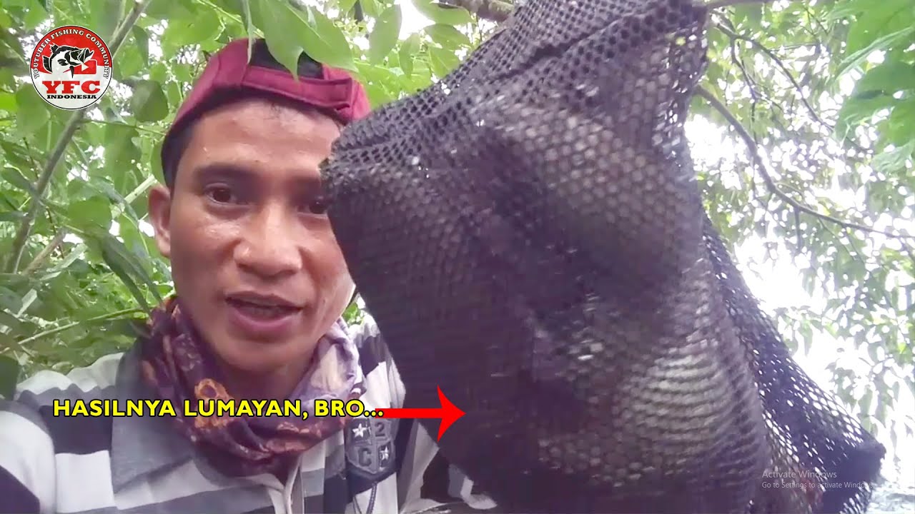 Mancing Ikan Umpan Udang Lihat Hasilnya