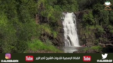 تلاوة غاية في الروعة والجمال لسورتي التكوير والطارق بصوت فضيلة الشيخ ثامر الزير