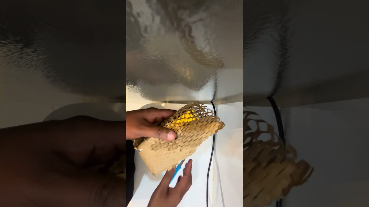 Dr. Sheth’s Ceramide & Vitamin C Sunscreen With SPF 50 | Non Sponsored Review