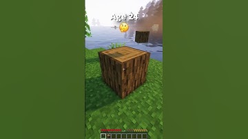 How To Escape Minecraft Traps In Every Age (World