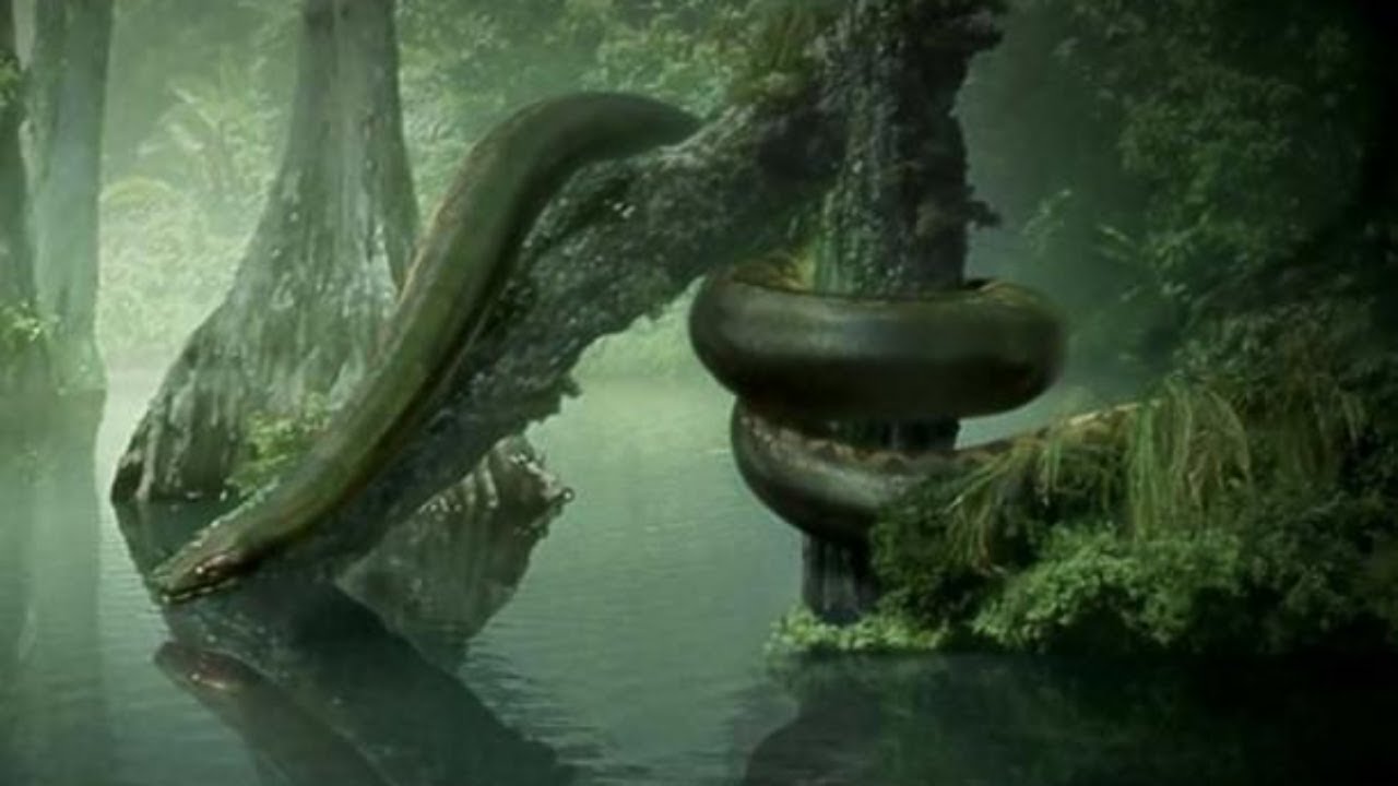 titanoboa facts | one  minute gyan 