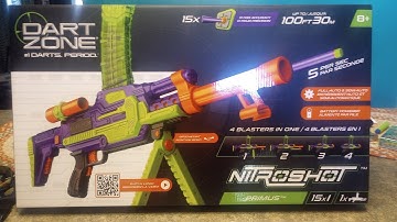 Review of the Dart zone Primus